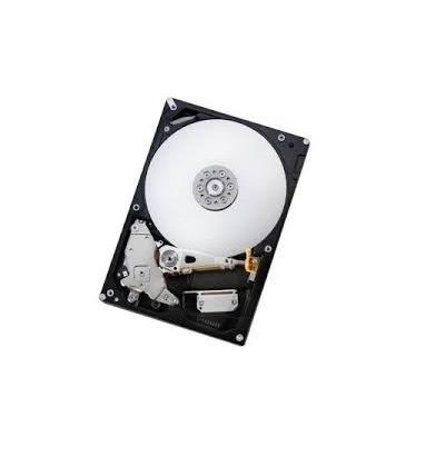 Hitachi Deskstar NAS 6TB SATA 6Gb/s 7200RPM 128MB cache internal hard drive for data storage and server use.