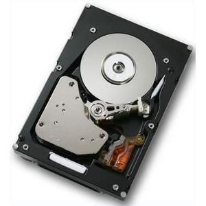 Hitachi - 17R6286 - HDD 300GB Fibre Channel 10000RPM 3.5"