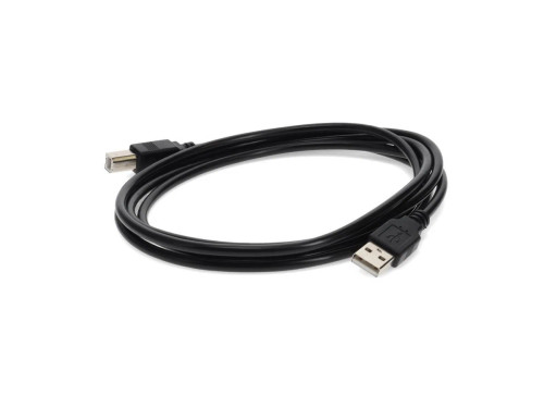 HP - Q6264A - Cable USB 2.0 A Male to B Male 6ft