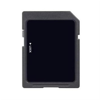 Gigaram - INSERT-MSDHC-GIGARAM - MicroSDHC Flash Memory Card 0MB
