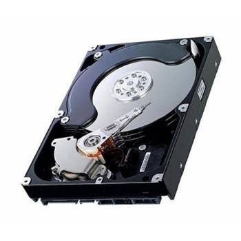 Seagate 146GB 10000RPM SAS 3Gb/s 2.5 Hard Drive for Servers