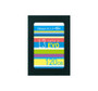 TeamGroup L3 EVO 120GB SATA SSD for ProLiant DL360p Gen8 servers