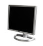 Dell 17-inch LCD Monitor - 1703FPS