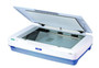 Epson - B11B195011-New - Flatbed Scanner