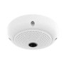 Mobotix Q26 Hemispheric Allround Outdoor IP Camera for 360° surveillance in outdoor settings