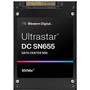 Western Digital Hard Drive - WUS5EA176ESP7E3