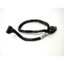 IBM 81Y7346 - 20-Pin HDD Backplane Cable