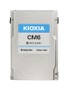 Kioxia CM6 3.84TB PCIe Gen 4.0 x4 SSD for high-speed data storage in enterprise servers.
