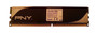 PNY 1GB DDR2 PC2-6400 Memory - 64A0QJTHE8G09