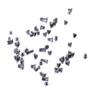 Apple - 922-6295 - Screw M5x1mm