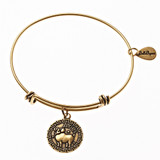 Aries Zodiac Expandable Bangle Charm Bracelet in Gold