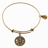 Gemini Zodiac Expandable Bangle Charm Bracelet in Gold