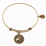 Leo Zodiac Expandable Bangle Charm Bracelet in Gold