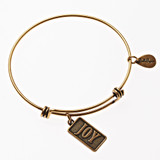 Joy Expandable Bangle Charm Bracelet in Gold