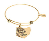 Ohio Expandable Bangle Charm Bracelet in Gold