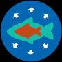 cichlid-excel-5.jpg
