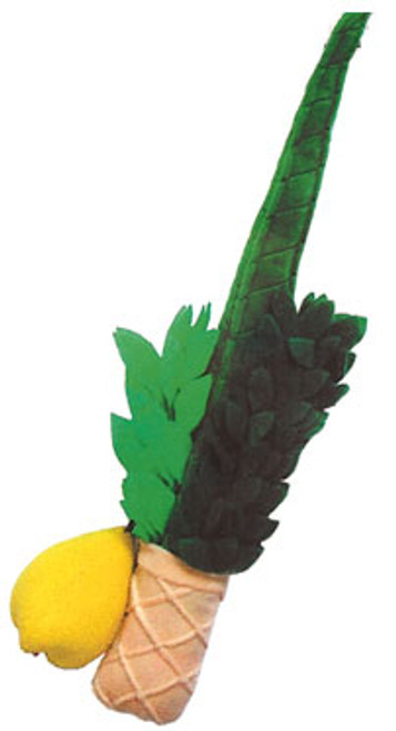 Plush Lulov & Etrog Set Plush Lulov & Etrog Set
