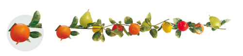 Fruit Garland Fruit Garland