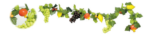 Multi-Fruit Garland Multi-Fruit Garland