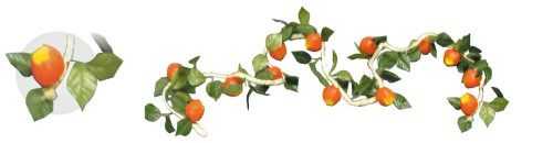 Apple Garland Apple Garland