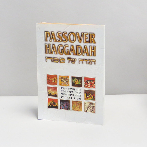 Illustrated Passover Hagaddah