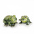 Frog Salt And Pepper Set