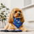 Chanukah Dog Bandana