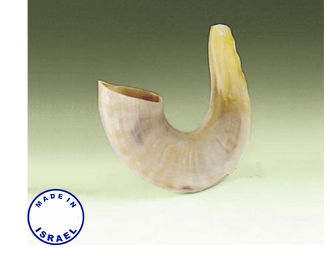 Shofar - Small