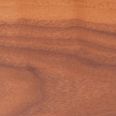 100-natural-walnut.jpg