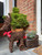 (x12)(£10.85ea) Brushwood Reindeer with Sleigh 52cm - Brown