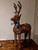 (x12)(£12.20ea) DUE AUGUST - LED Rattan Reindeer (Indoor & Outdoor) - Large 71cm