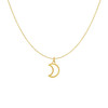 14k Yellow Gold Necklace with Moon