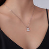 Twelve Zodiac Signs - A trendy and fashionable jewelry necklace pendant set, made of moissanite S925 sterling silver and platinum-plated diamonds