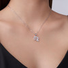 Twelve Zodiac Signs - A trendy and fashionable jewelry necklace pendant set, made of moissanite S925 sterling silver and platinum-plated diamonds
