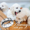 Anxiety Relieve Rings 925 Sterling Silver Spinner Fidget Ring Worry Stress Relieving Boredom ADHD Autism Ring Platinum Plated Jewelry Birthday Gifts for Women Men