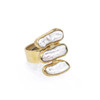 The SHAKTI Ring