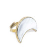 The PURNAMA Ring