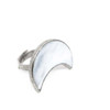 The PURNAMA Ring
