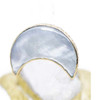 The PURNAMA Ring