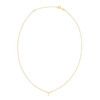 14K Yellow Gold Aries Necklace