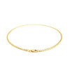 2.5mm 14k Yellow Gold Curb Link Anklet