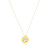 14k Yellow Gold Necklace with Dog Paw Print Symbol in Mother of Pearl