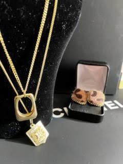 Nice Elegant Lux Earrings