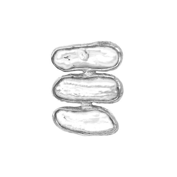 The SHAKTI Ring