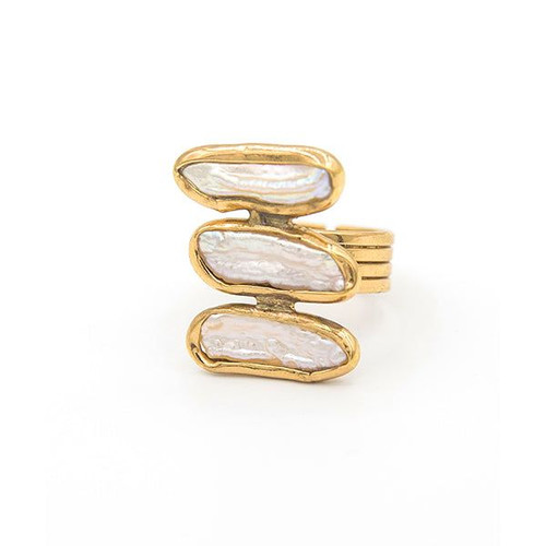 The SHAKTI Ring