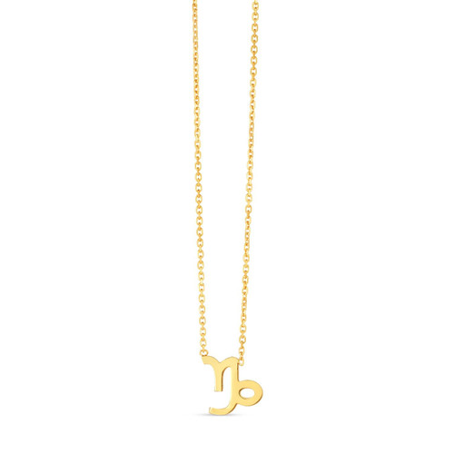 14K Yellow Gold Capricorn Necklace