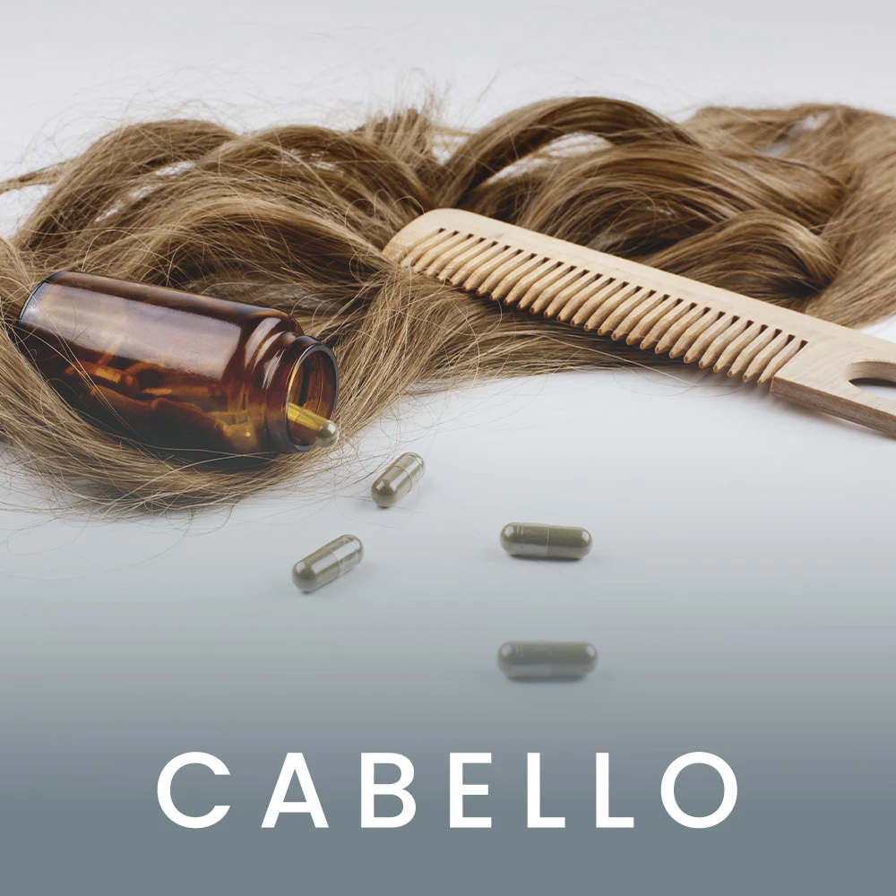 categoria cabello home