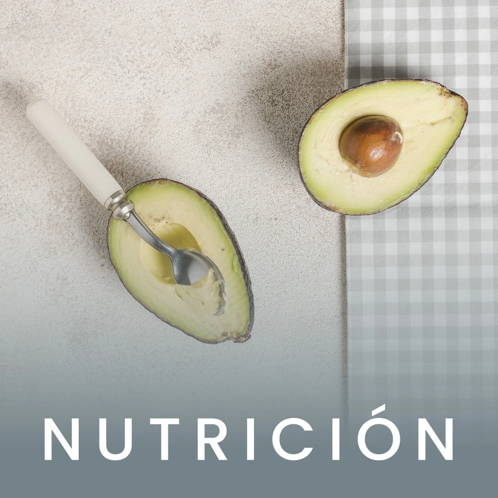 categoria nutrición home