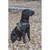 ALPHA K9 MARK I TACTICAL DUTY HARNESS WITH BALLISTIC PANELS