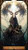 Druidic Tarot Deck
